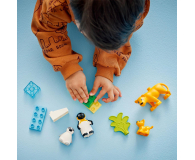 LEGO DUPLO 10442 Rodziny dzikich zwierząt pingwiny i lwy - 1299016 - zdjęcie 10